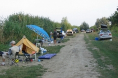 2005