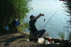 2006Jubileum7