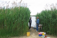 2006 Kishalfogó