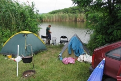 2006nagyhalfogo11