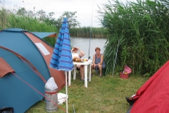 2006nagyhalfogo13