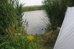 2006nagyhalfogo16