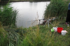 2006nagyhalfogo18