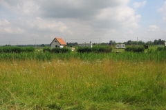 2006nagyhalfogo25