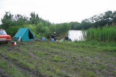 2006nagyhalfogo3