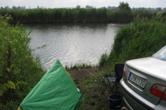 2006nagyhalfogo4