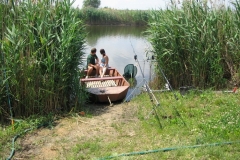 2006nagyhalfogo40