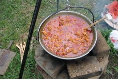 2006nagyhalfogo42