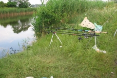 2006nagyhalfogo60