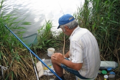 2006nagyhalfogo8