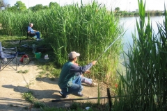 2007kishalfogo004