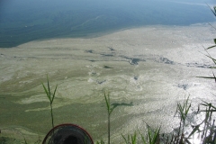2007kishalfogo050