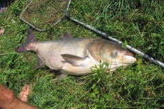 felhalom2007_024