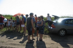 2007nagyhalfogo010