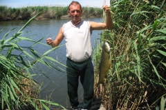 2007nagyhalfogo054