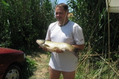 2007nagyhalfogo056
