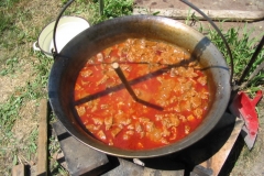 2007nagyhalfogo059