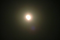 DSCF1954