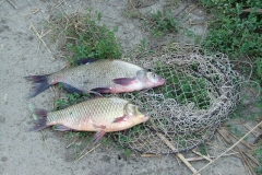 DSCF1958