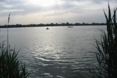 Kishalfogo_012
