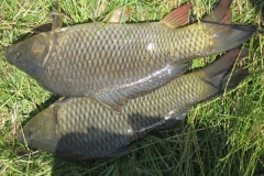 2008Nagyhalfogo_verseny_117