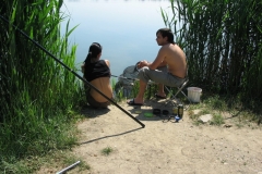 Kishalfogo029