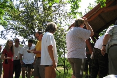 Kishalfogo075