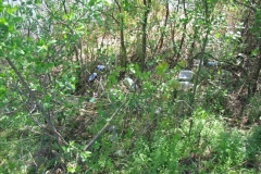 20090419_Kornyezetvedelmi_nap_009