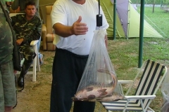2009nagyhalfogo4182