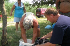 20100814-15_075