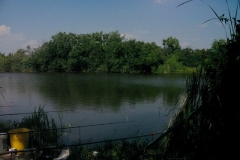 Nagyhalfogo2520029