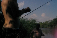 Nagyhalfogo2520033