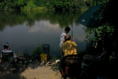 Nagyhalfogo2520064