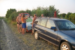 Nagyhalfogo2520081
