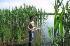20120520_kishalfogo014