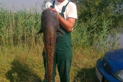20120706469
