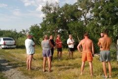 2014 Nagyhalfogó