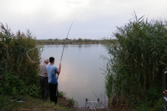DSCF5570