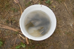 DSCF5587