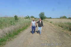 SAM_8569