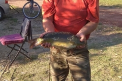 IMG_20200830_073453