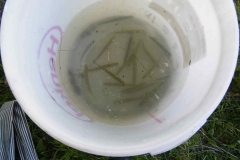 DSCF0119