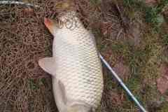IMG_20210828_075646