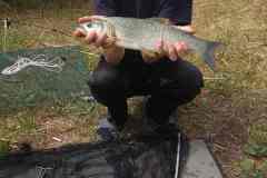 IMG_20210703_092719