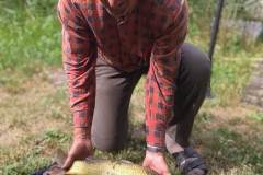 IMG_20210703_093917
