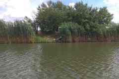 IMG_20210703_144348