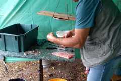 halfozo_04