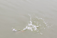 486286549_122136383162596176_8486370807868234481_n