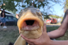 552959067_122160369050596176_3708478960717888359_n