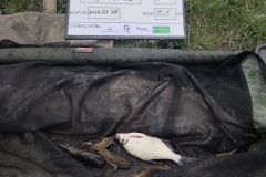 089_Finomszerelekes_horgaszverseny